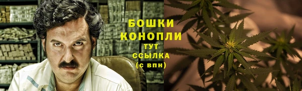сатива Ладушкин