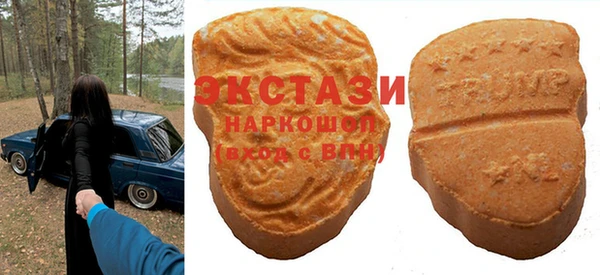 сатива Кулебаки