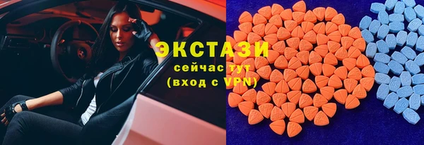 сатива Кулебаки