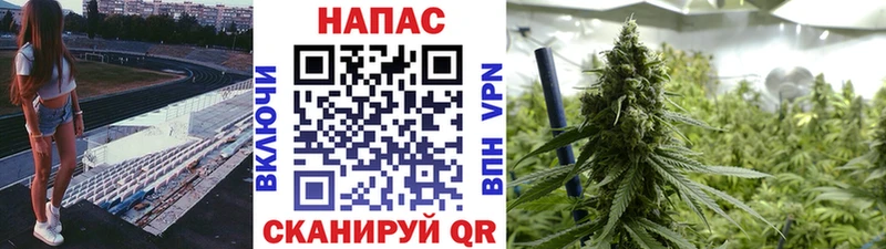 Бошки Шишки семена  Кукмор 